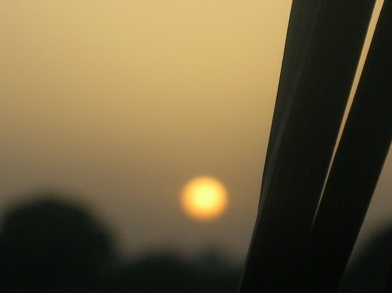 Sun Setting Behind Trees — Yellow, Calm, Sunset