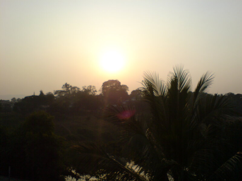 Sun Setting Behind Trees — Yellow, Calm