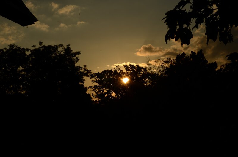 Sun Setting Behind Trees — Yellow, Serene, Sunset, Photograph, Clouds