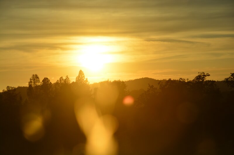 Sun Setting Behind Trees — Yellow, Serene, Sunset, Photograph, Mountains