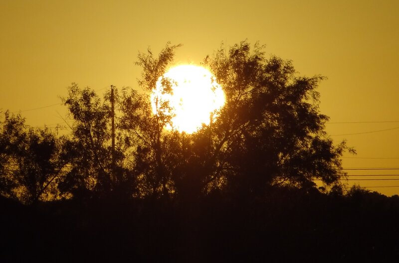 Sun Setting Behind Trees — Yellow, Serene, Sunset, Photograph, Power Lines