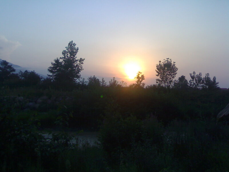 Sun Setting Behind Trees — Yellow, Serene, Sunset, Photograph, Sky, Mountain