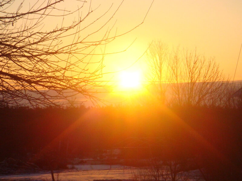 Sun Setting Behind Trees — Yellow, Serene, Sunset, Photograph, Sky, Snow
