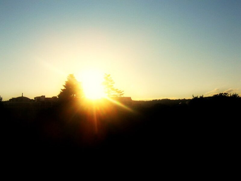 Sun Setting Behind Trees — Yellow, Serene, Sunset, Photograph