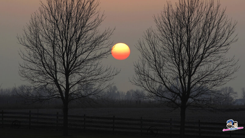Sun Setting Between Trees