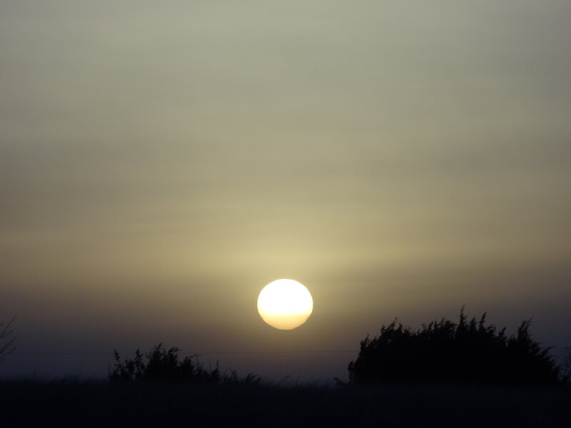 Sun Setting over Bushes