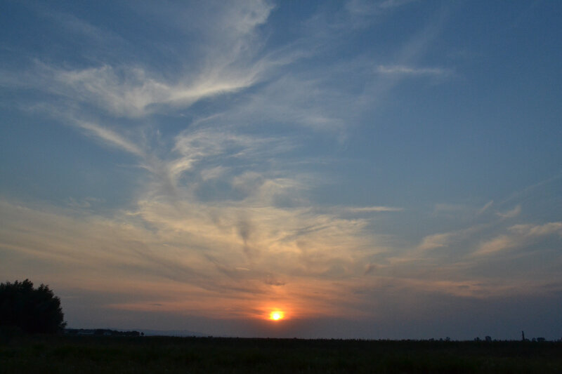 Sun Setting over Field — Blue, Serene