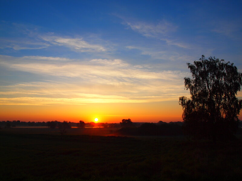 Sun Setting over Field — Blue