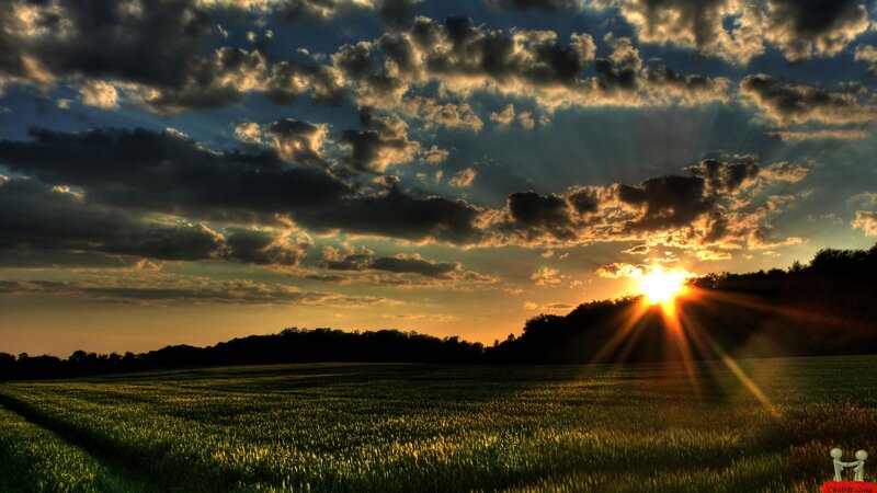Sun Setting over Field — Green, Dramatic, Sunset