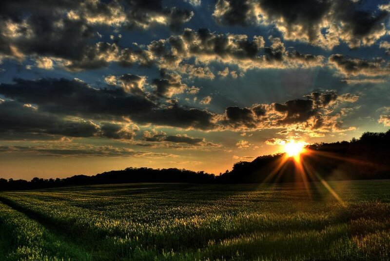 Sun Setting over Field — Green, Dramatic