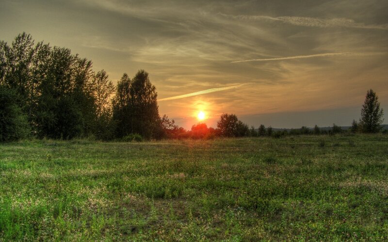 Sun Setting over Field — Green, Serene
