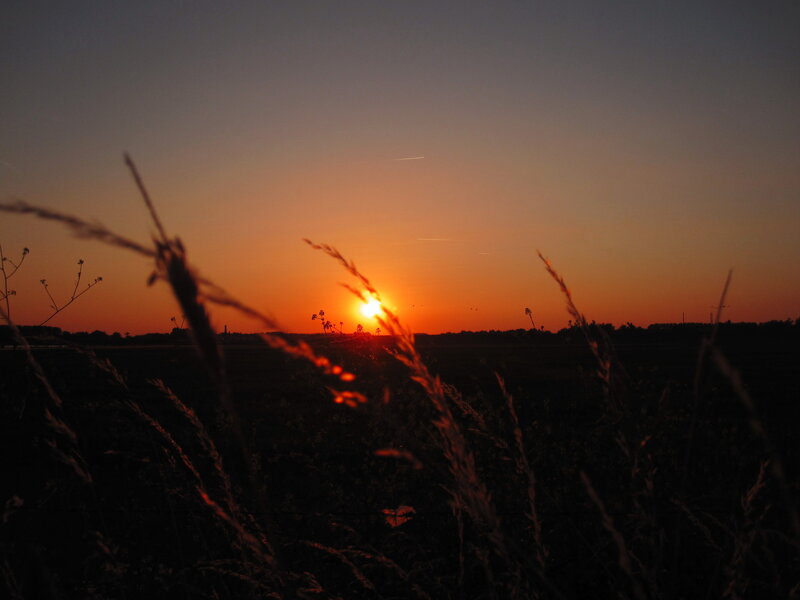 Sun Setting over Field — Orange, Serene, Sunset, Photograph, Grass