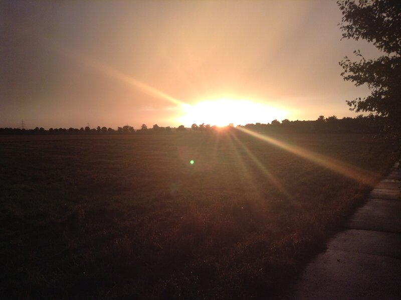 Sun Setting over Field — Orange, Serene, Sunset, Photograph, Path