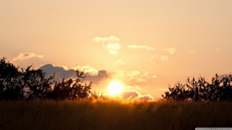 Sun Setting over Field — Orange, Serene, Sunset, Photograph