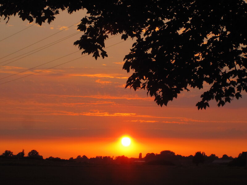 Sun Setting over Field — Orange, Serene, Sunset, Photograph, Tree Branches