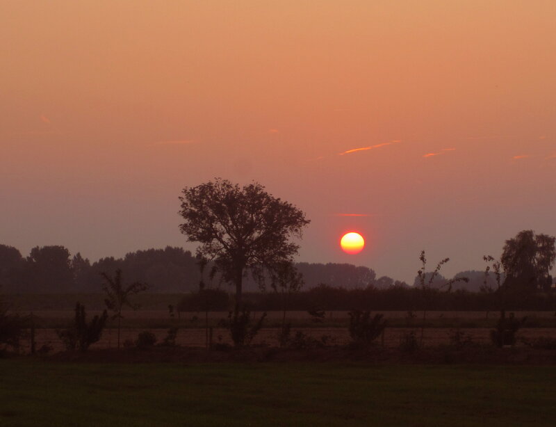 Sun Setting over Field — Orange, Serene, Sunset, Photograph, Tree
