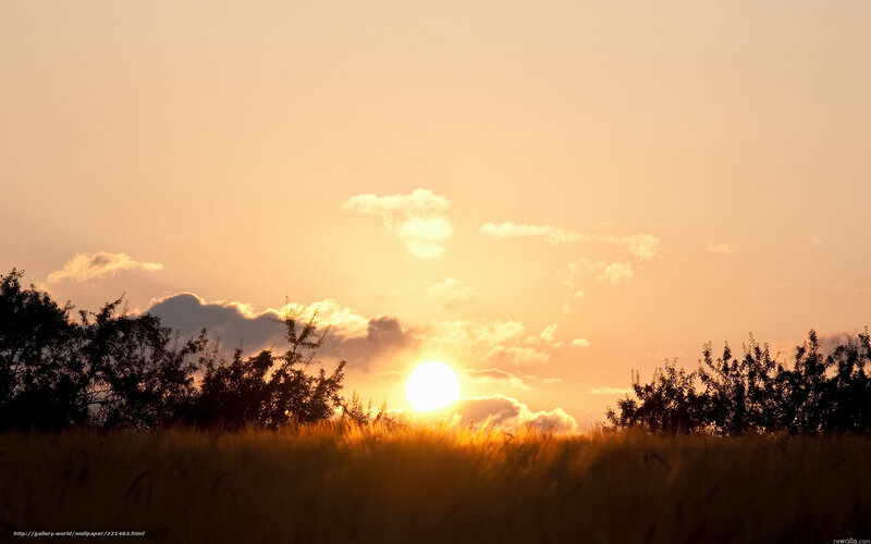 Sun Setting over Field — Orange, Serene, Sunset, Photograph, Trees, Clouds