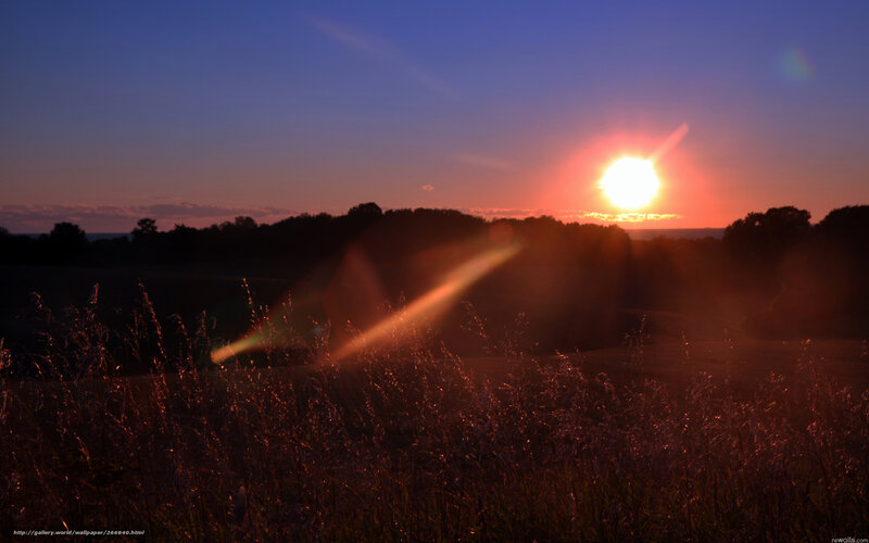 Sun Setting over Field — Orange, Serene, Sunset, Photograph, Trees, Grass