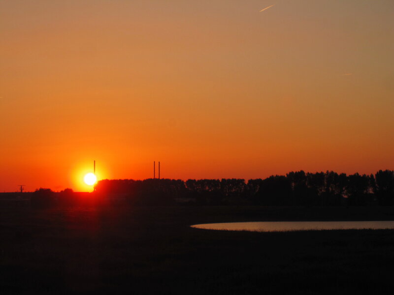 Sun Setting over Field — Orange, Serene, Sunset, Photograph, Trees, Pond
