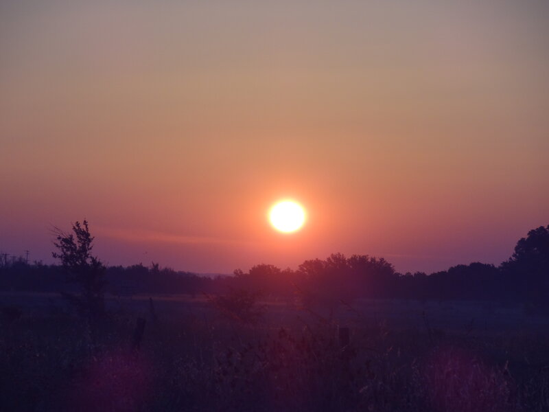 Sun Setting over Field — Orange, Serene, Sunset