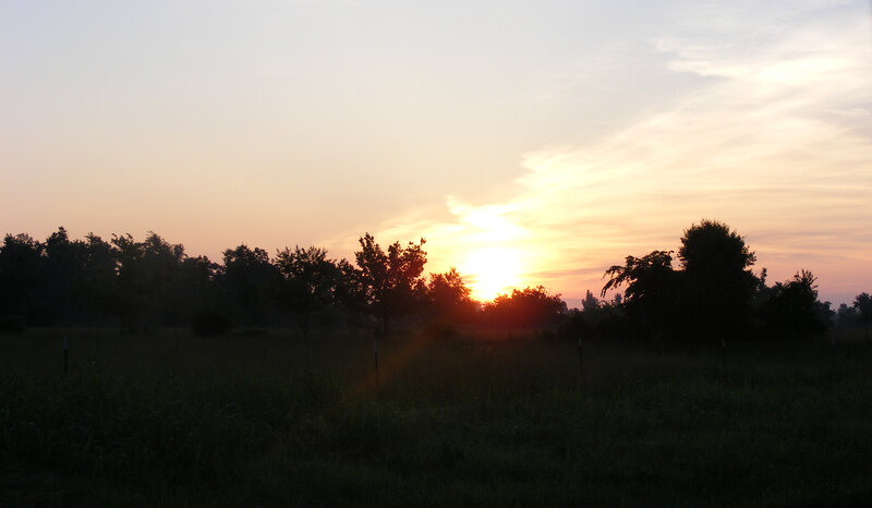 Sun Setting over Field — Orange