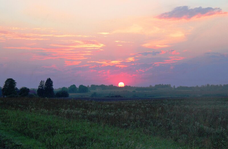 Sun Setting over Field — Pink