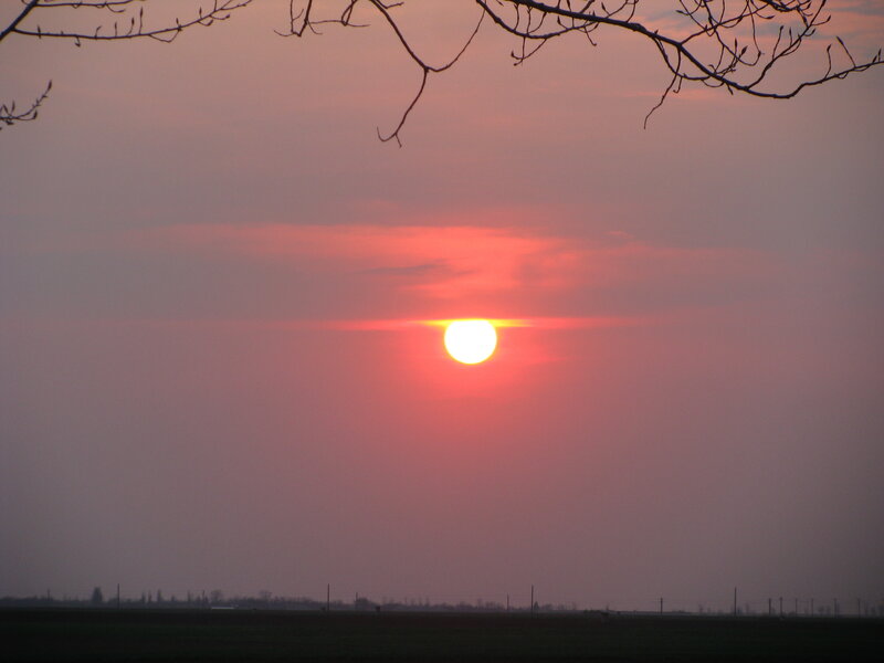 Sun Setting over Field — Red, Serene