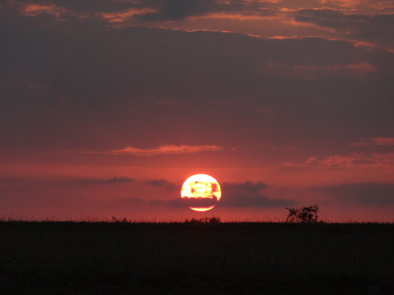 Sun Setting over Field — Red