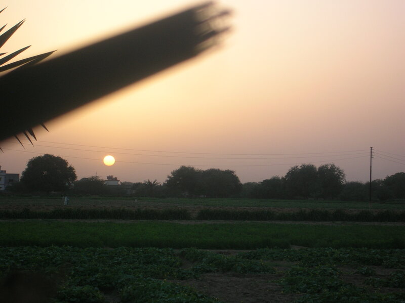 Sun Setting over Fields