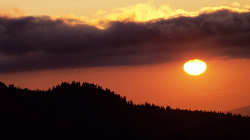 Sun Setting over Forest — Orange, Dramatic, Sunset