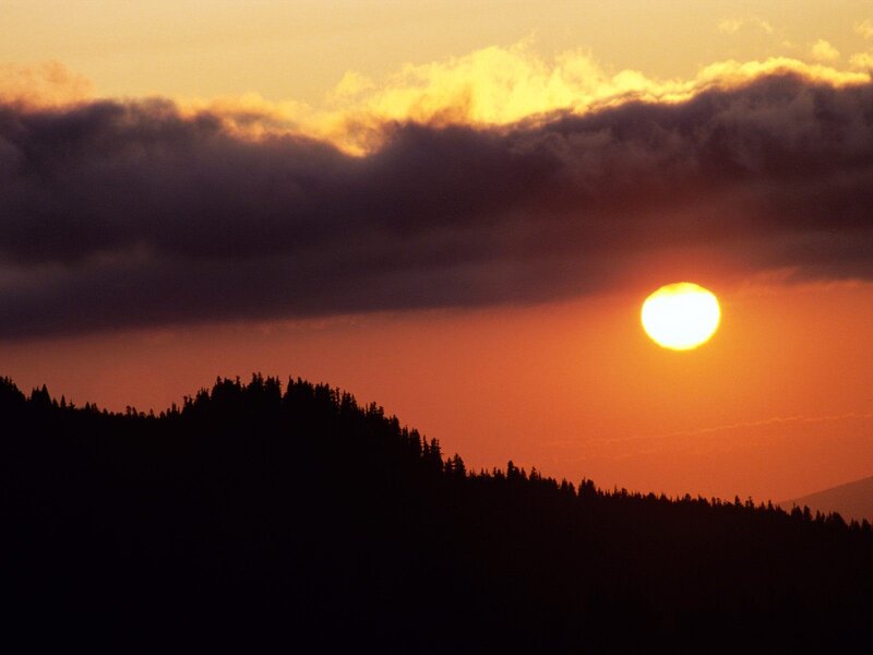 Sun Setting over Forest — Orange, Dramatic