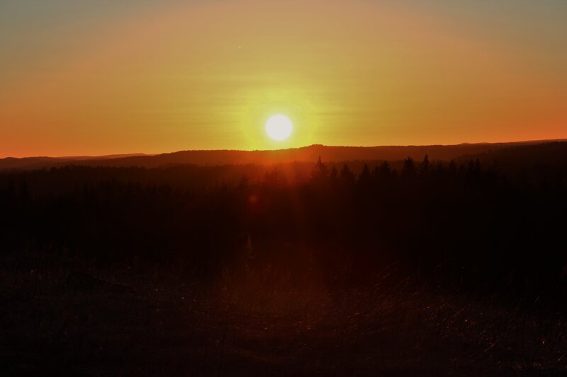 Sun Setting over Forest — Orange, Serene