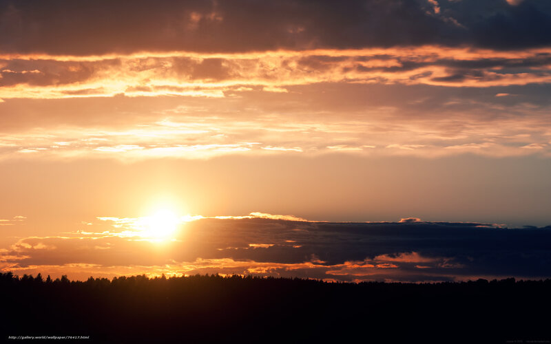 Sun Setting over Forest — Orange