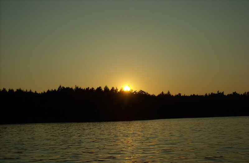 Sun Setting over Forest