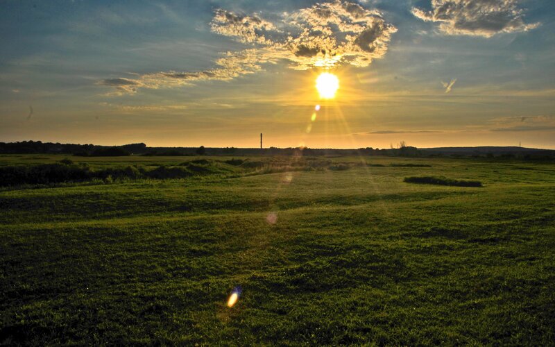 Sun Setting over Grass Field — Green