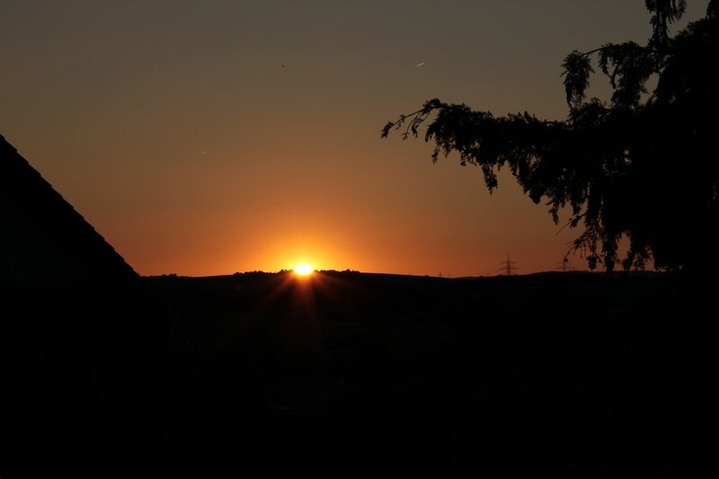 Sun Setting over Hills — Orange, Serene, Sunset, Photograph, Tree