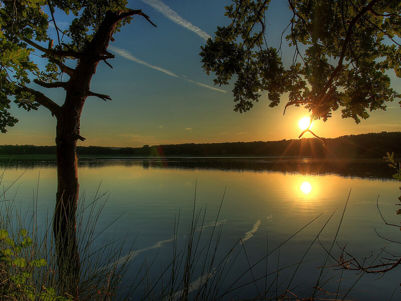 Sun Setting over Lake — Blue, Serene, Sunset, Photograph, Tree