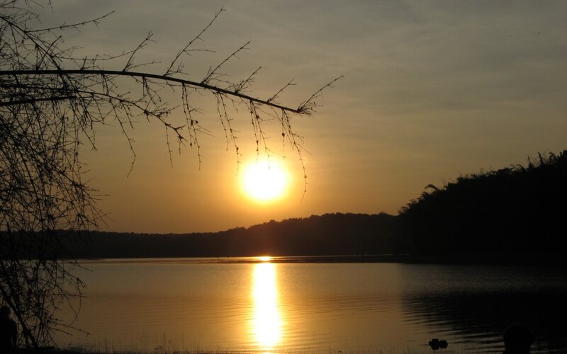 Sun Setting over Lake — Gold, Serene, Sunset, Photograph, Tree Branch