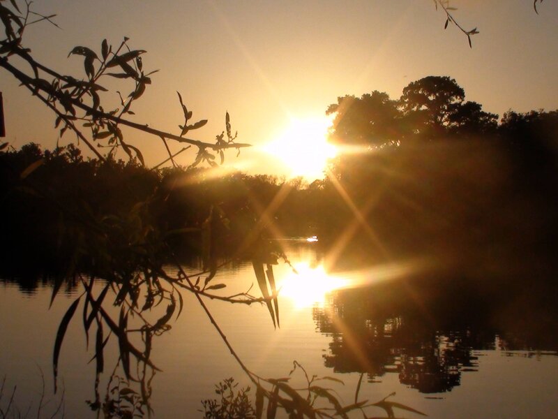 Sun Setting over Lake — Gold, Serene
