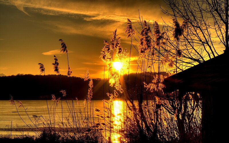 Sun Setting over Lake — Gold