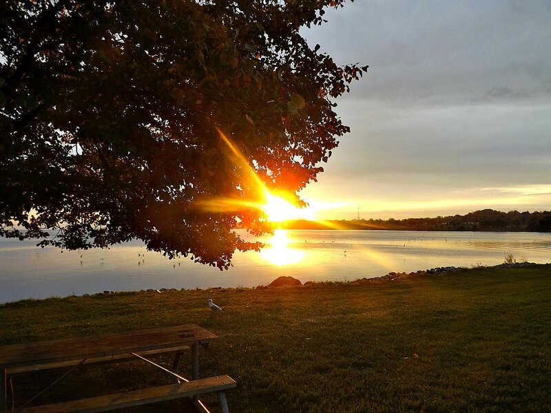 Sun Setting over Lake — Green, Serene