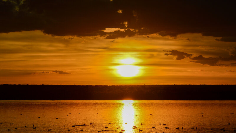 Sun Setting over Lake — Orange, Dramatic, Sunset, Photograph, Birds