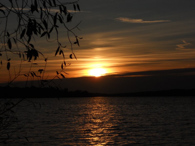 Sun Setting over Lake — Orange, Serene, Sunset, Photograph, Branches
