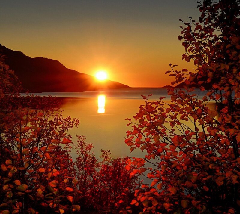 Sun Setting over Lake — Orange, Serene, Sunset, Photograph, Mountain, Trees