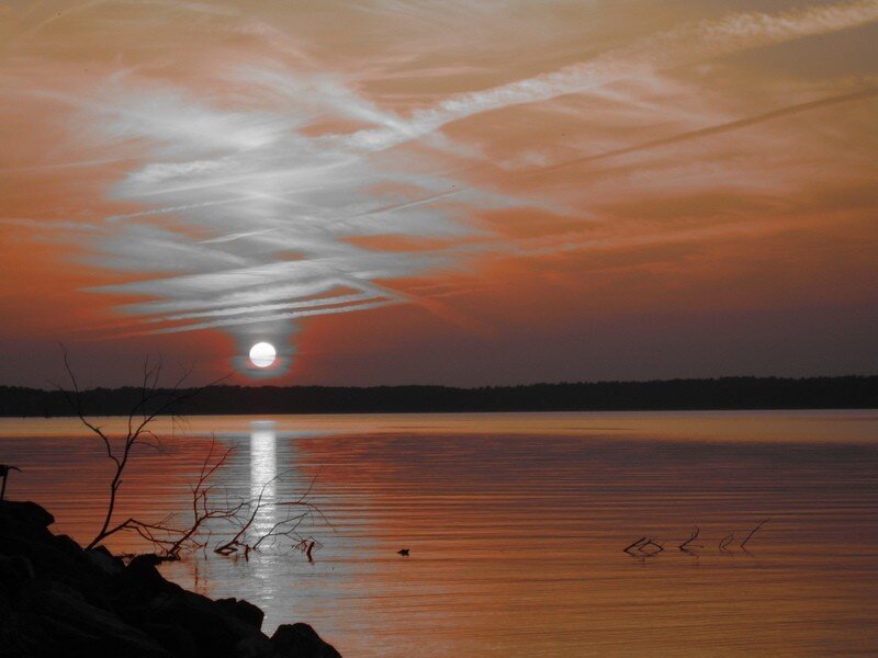 Sun Setting over Lake — Orange, Serene, Sunset, Photograph, Tree Branches, Sky