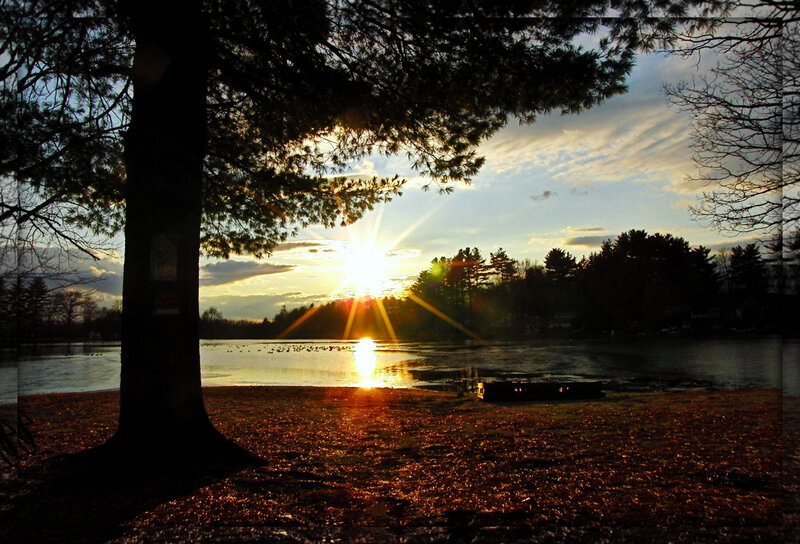 Sun Setting over Lake — Orange, Serene, Sunset, Photograph, Tree