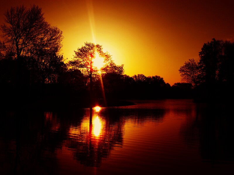 Sun Setting over Lake — Orange, Serene, Sunset, Photograph, Trees, Reflection