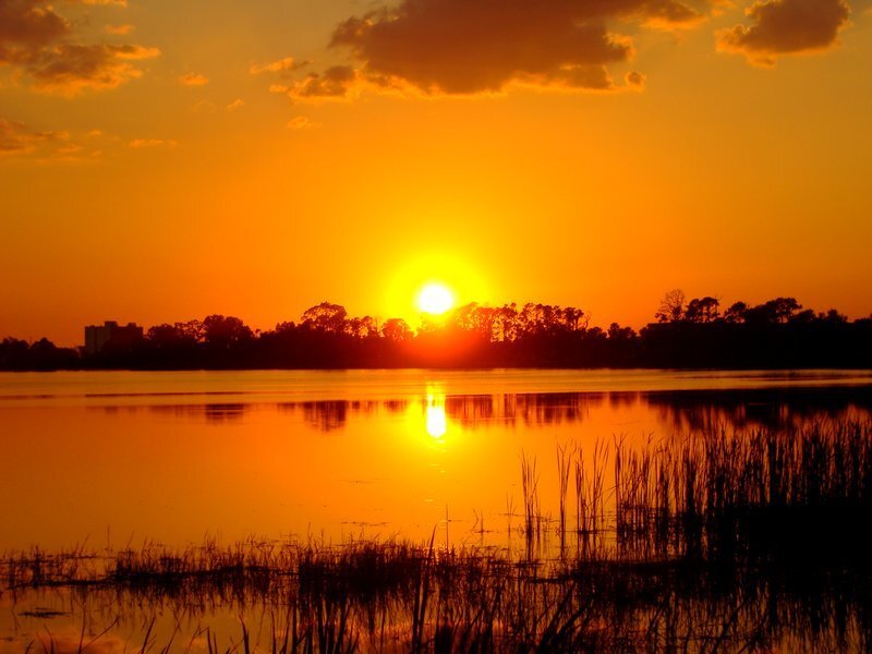 Sun Setting over Lake — Orange, Serene, Sunset, Photograph, Trees, Sky, Reeds