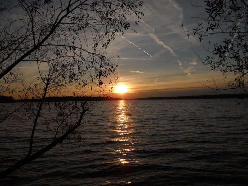 Sun Setting over Lake — Orange, Serene, Sunset, Photograph, Trees, Sky, Reflection, Black, Gray
