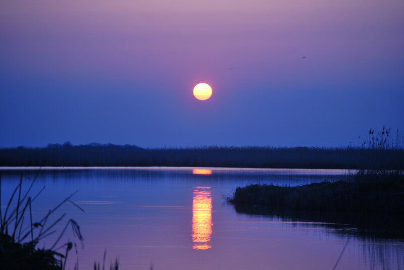 Sun Setting over Lake — Purple, Serene